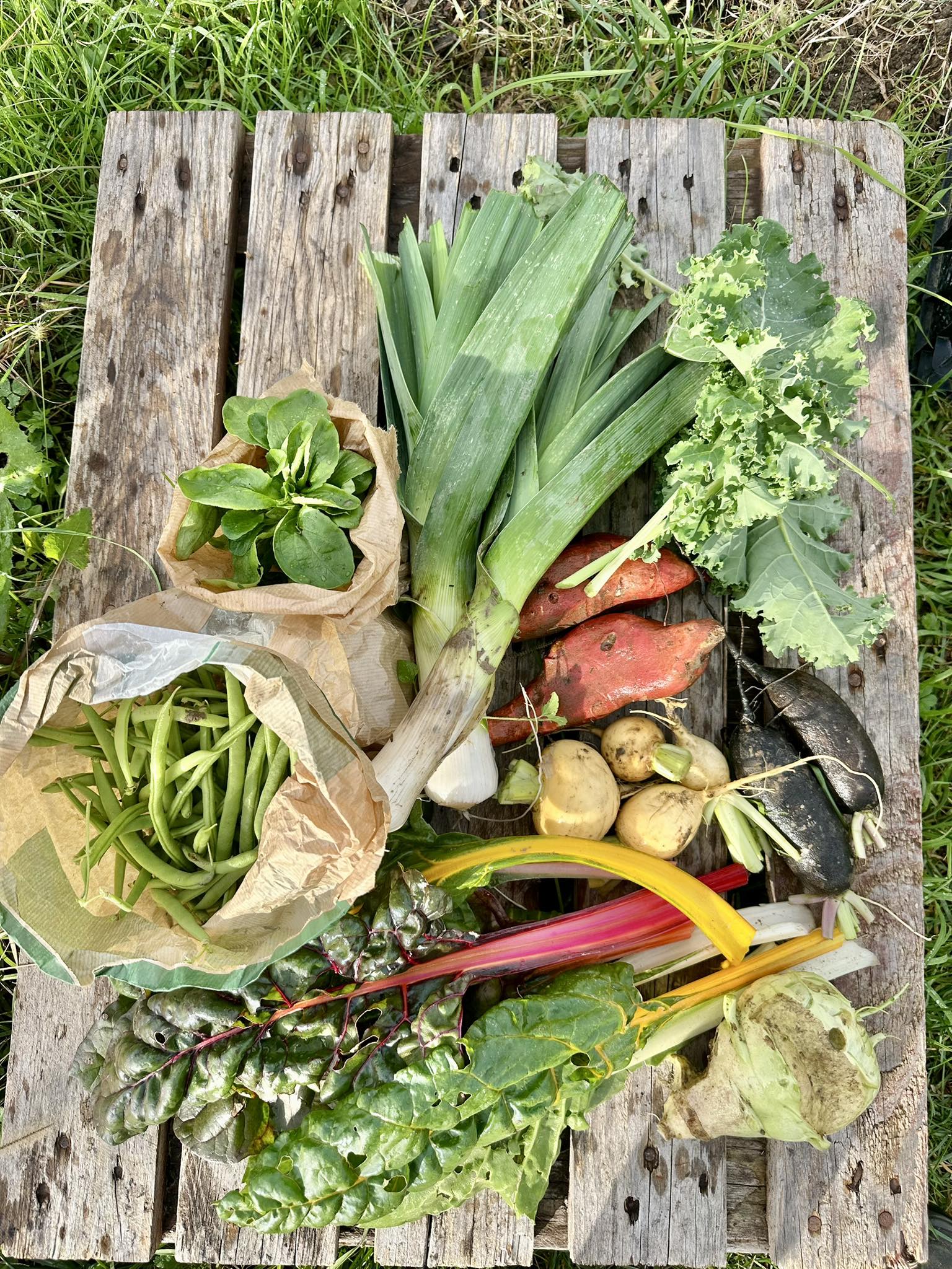 Légumes du jardin partagé