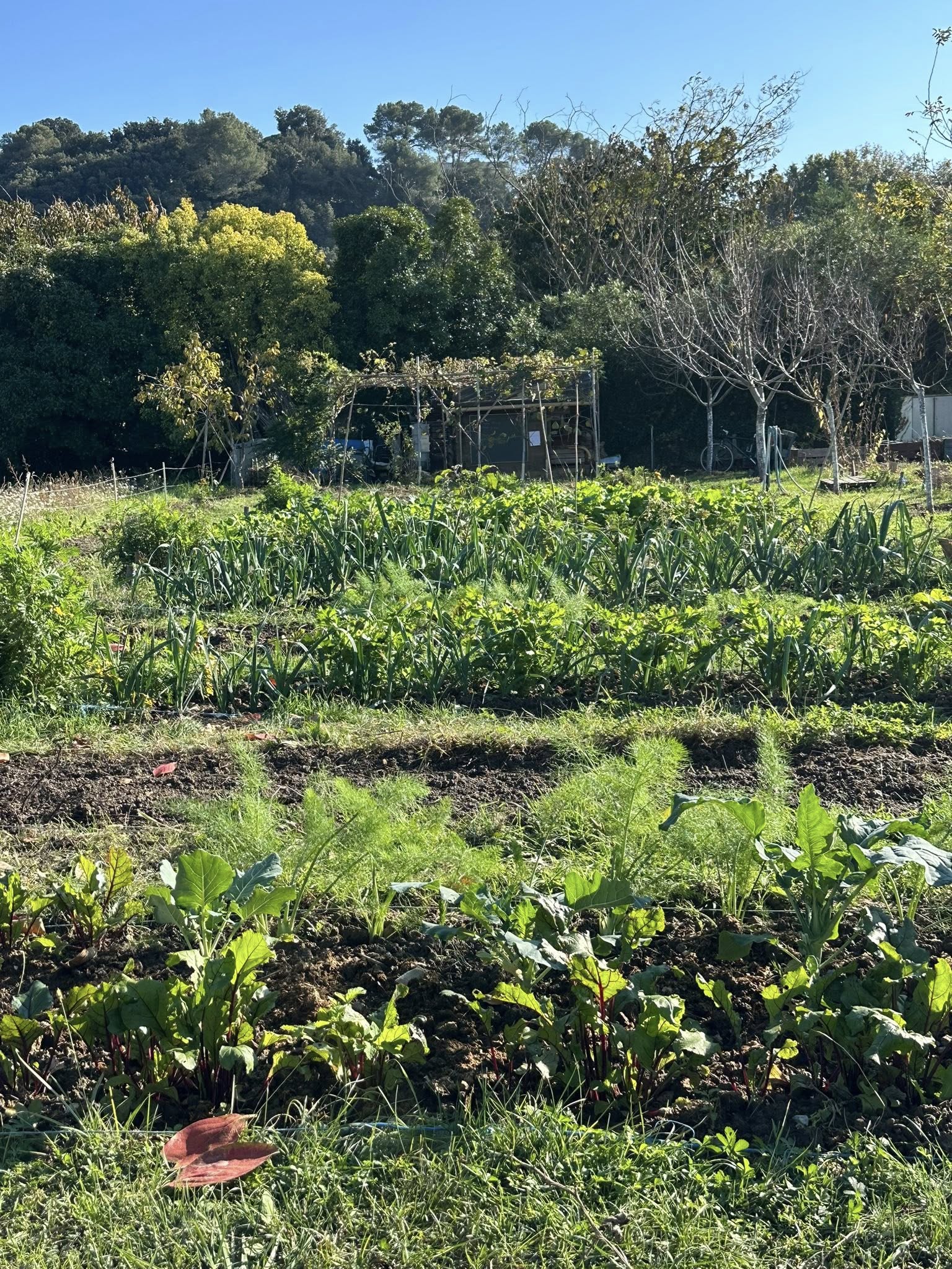 Vue du jardin de l’Abreuvoir